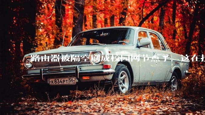 路由器被隔空刷成校园网节点了，这在技术上是怎么实现的？